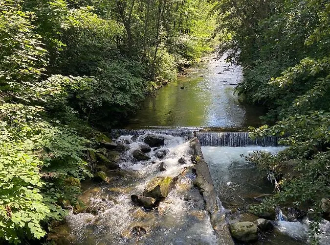 Mountain Bratkow 10e *